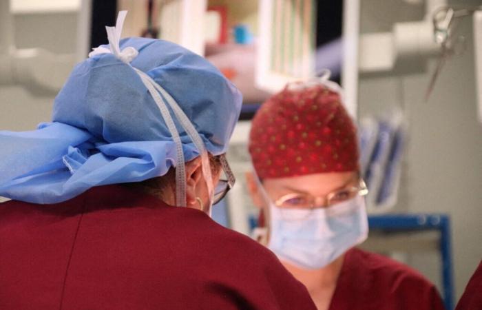 das Coulommiers-Krankenhaus am Krankenbett der Standorte Meaux und Marne-la-Vallée