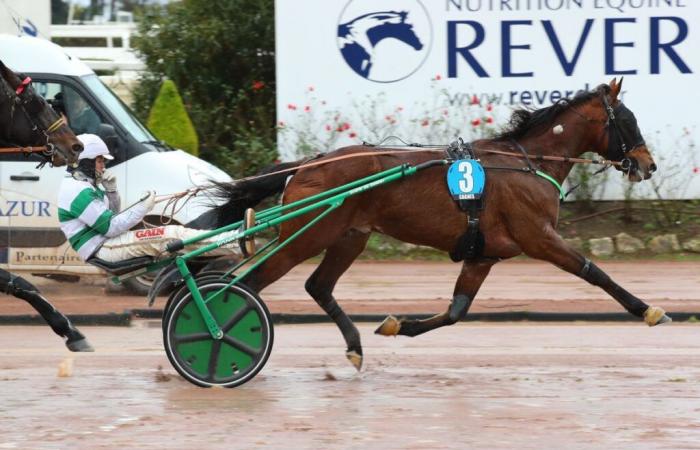 Mittwoch in Cagnes – Prix Tigre Royal: Der Cashmaker rehabilitiert sich