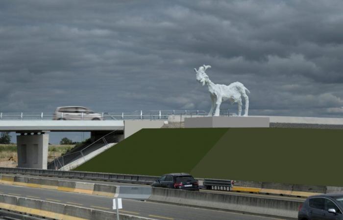 Indre-et-Loire: Audiards Ziege auf der A10 in Sainte-Maure-de-Touraine: Los geht’s!