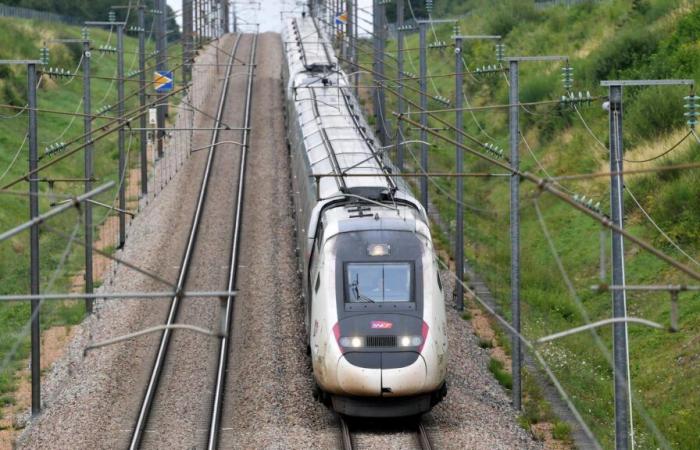 Die SNCF bietet ab diesem Mittwoch Bahntickets für die Osterferien und Maibrücken zum Verkauf an