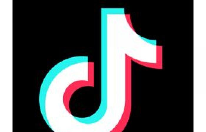 Meta würde diese kolossalen Summen an Influencer zahlen, um TikTok entgegenzuwirken