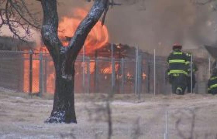 Der Besitzer eines vom Feuer zerstörten Hundeheims trotzt der Gefahr, um Dutzende Hunde zu retten