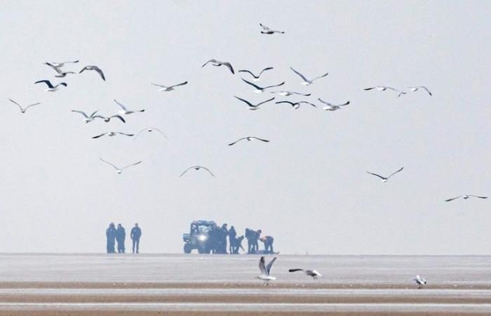 Ein junger jemenitischer Mann wurde tot an einem Strand in Pas-de-Calais aufgefunden