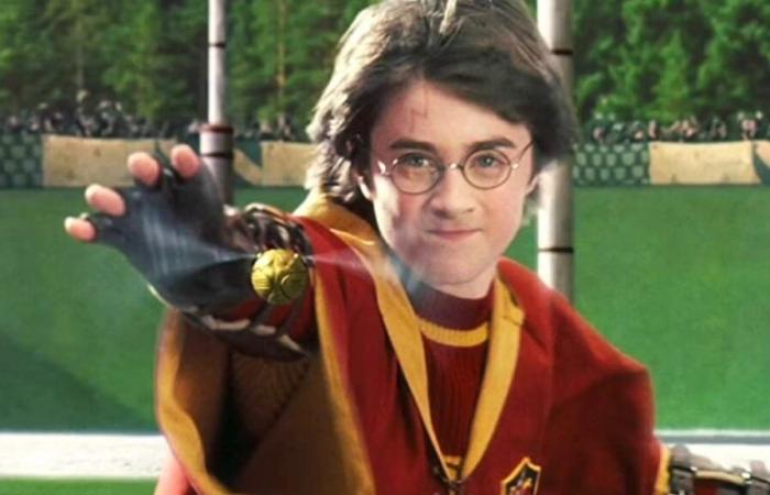 Ein berühmter Schauspieler aus der Harry-Potter-Saga wird im Februar in Lyon anwesend sein