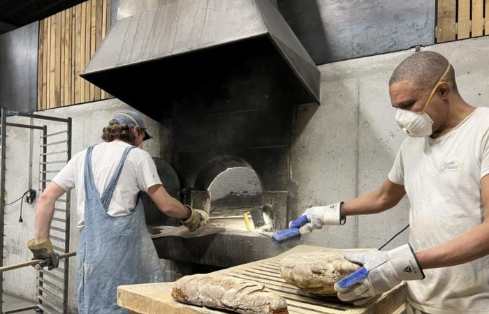 In Côtes-d’Armor stellt diese untypische Bäckerei ihr Brot auf altmodische Weise her