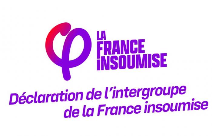 Erklärung der Intergruppensitzung von France Insoumise am 21. Januar