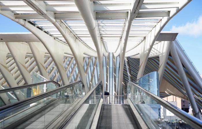 Zu viele Rolltreppen und Förderbänder am Bahnhof Guillemins #Ausfall