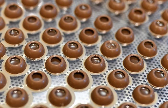 Barry Callebaut erleidet im ersten Teil einen Lautstärkerückgang