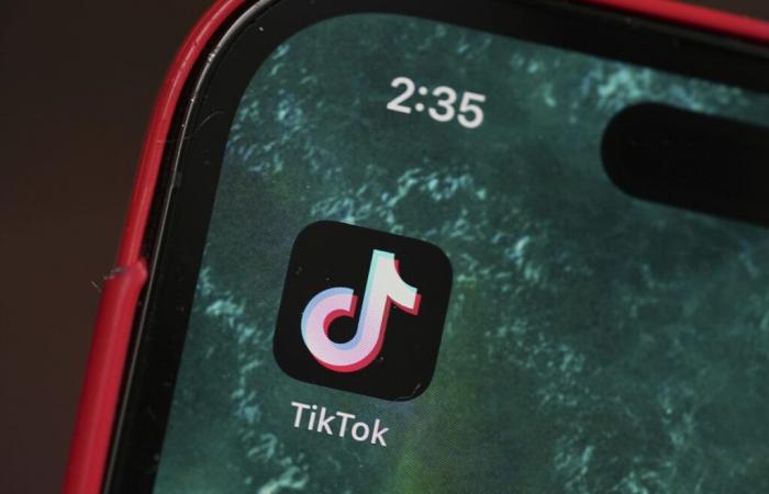 Trump befürwortet eine Übernahme von TikTok durch Musk