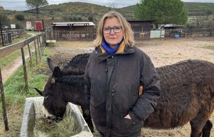 ABENDFAKT IN Générac stürzt der Tod des Esels „Pompon“ Valérie in Not