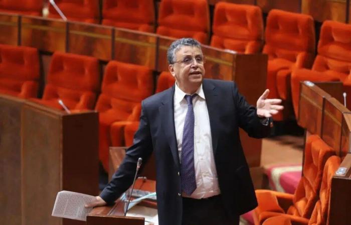 Abdellatif Ouahbi plädiert den Abgeordneten für seine Reform