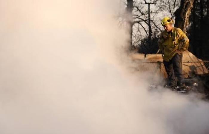 CPLF 2025: Lungenerkrankungen sind umweltbedingt