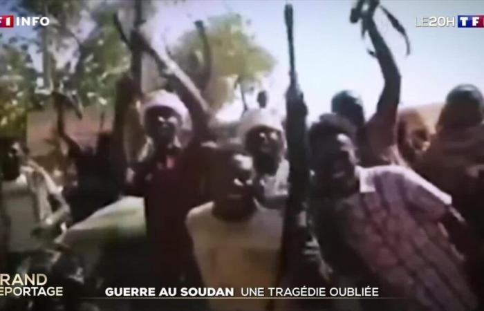 Krieg im Sudan: eine vergessene Tragödie