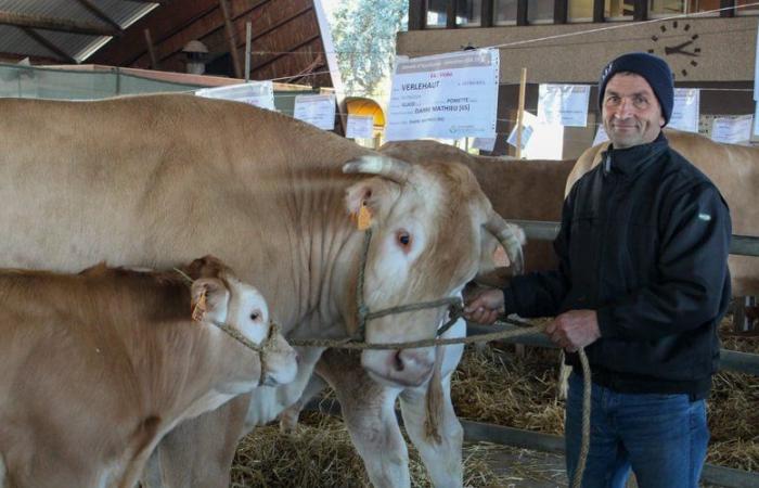 eine Prinzessin, ein Viconte und Pin Pon auf dem Weg zur Landwirtschaftsschau