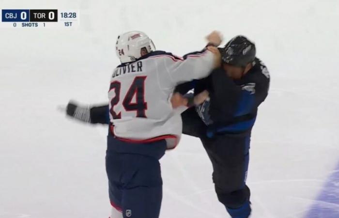 Wütender Schwergewichtskampf zwischen Ryan Reaves und Mathieu Olivier