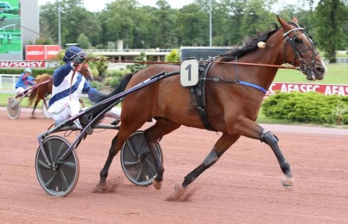 Die glückliche Danica vergnügt sich wunderbar an der Riviera