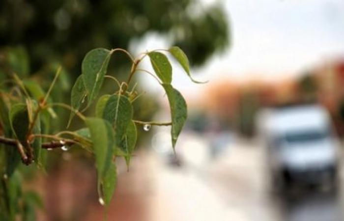 Wettervorhersage für morgen, Mittwoch