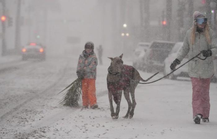 New Orleans wird von einem seltenen Schneesturm heimgesucht