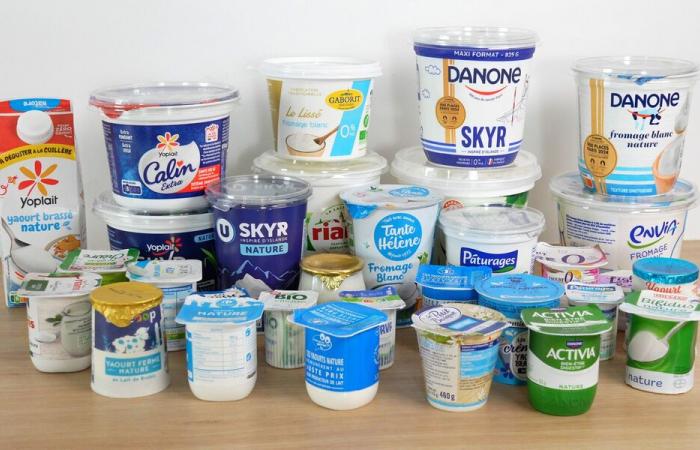 Skyr, petit-suisse… (Video) – Welches Milchprodukt sollten Sie für Ihre Gesundheit wählen? – Nachricht