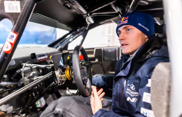 Wie kann man den Shakedown in Monte-Carlo verfolgen?