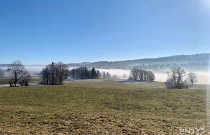 „The Jura Walk“ in Genf