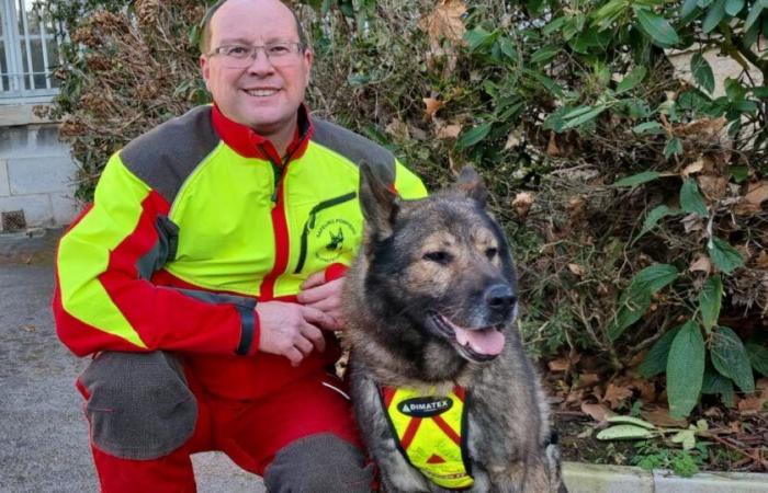 Gerko, der Feuerwehrhund, ausgezeichnet vom Präfekten