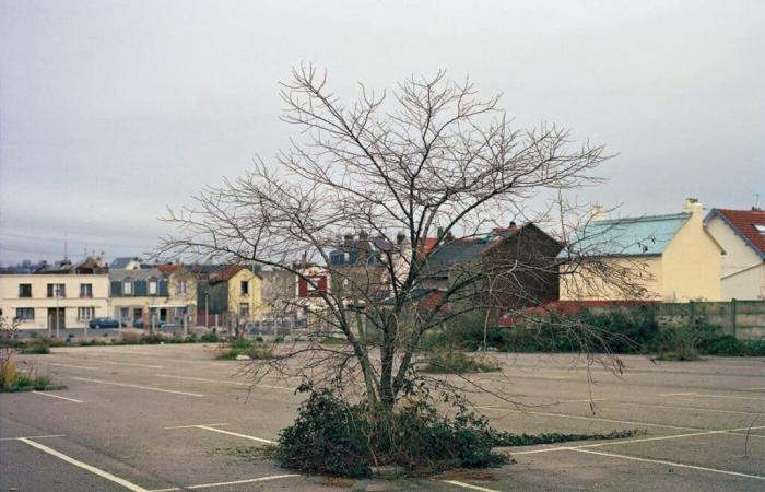 In Paris enthüllt eine kostenlose Ausstellung die Landschaften von Kate Barry