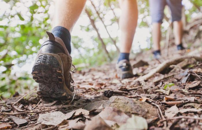 6 wunderschöne Wälder in der Nähe von Montreal zum Wandern