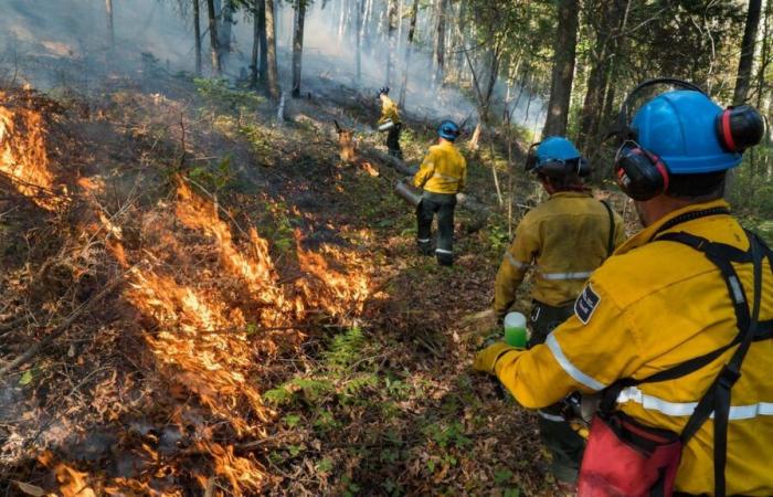 Im Mauricie Park besteht in Zukunft Brandgefahr