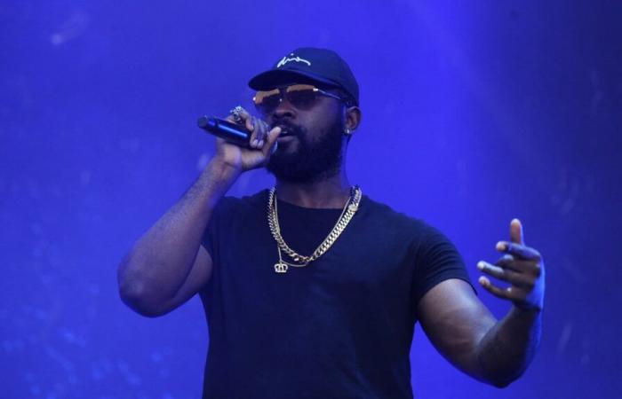 Damso, Gims, Sean Paul und Zaho de Sagazan als Headliner