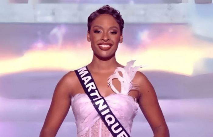 Die ehemalige Miss France kann es nicht glauben