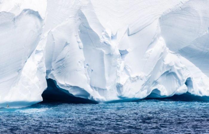 Die „Königin der Eisberge“ A23a rast auf eine abgelegene Insel im Südatlantik zu. Millionen Tiere könnten gefährdet sein