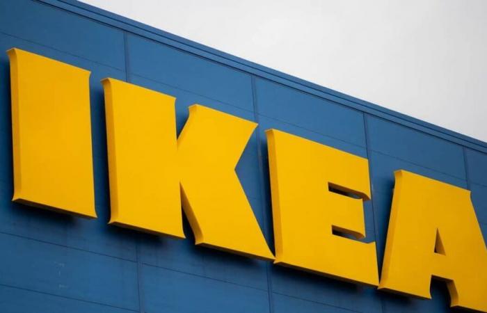 IKEA investiert 50 Millionen US-Dollar, um die Preise für Hunderte von Produkten zu senken