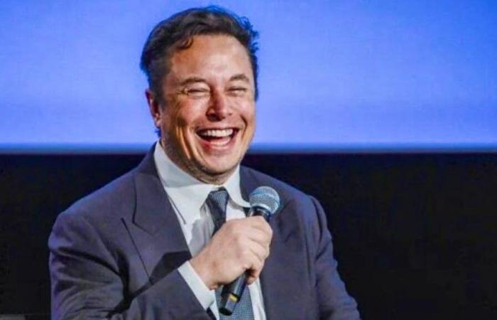 Musk kritisiert das von Trump vorgestellte KI-Projekt