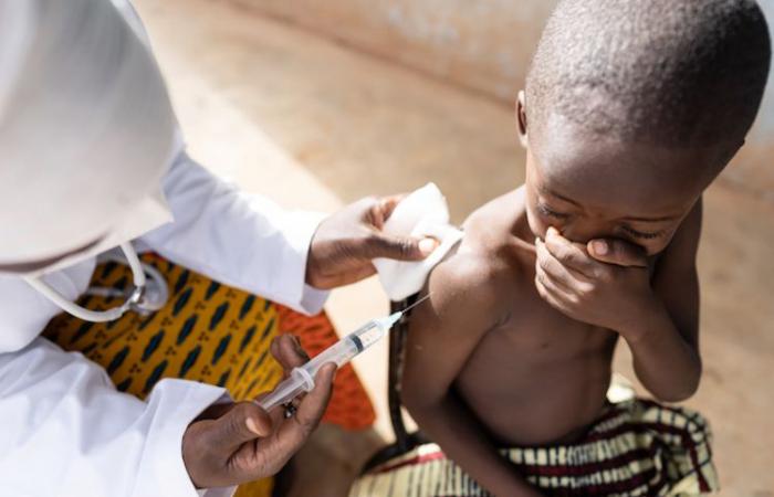 Fast 10 Millionen Dosen Malaria-Impfstoff in Afrika verteilt (Gavi)