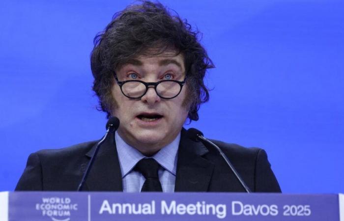 Beim Davos Forum holt Javier Milei das Sulfat gegen „Wokismus“ aus