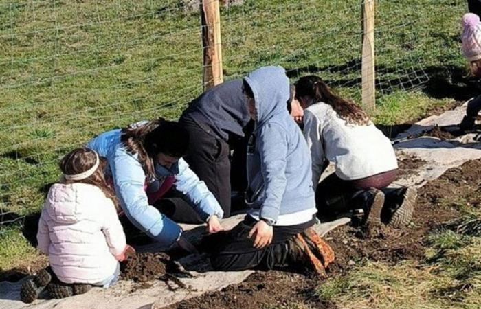 Kinder säen die Zukunft, indem sie Bäume pflanzen – Tarn et Garonne