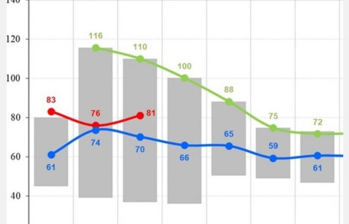 Die Orangenpreise sinken in Südeuropa zur Saison 2024/2025 auf 48 €/100 kg