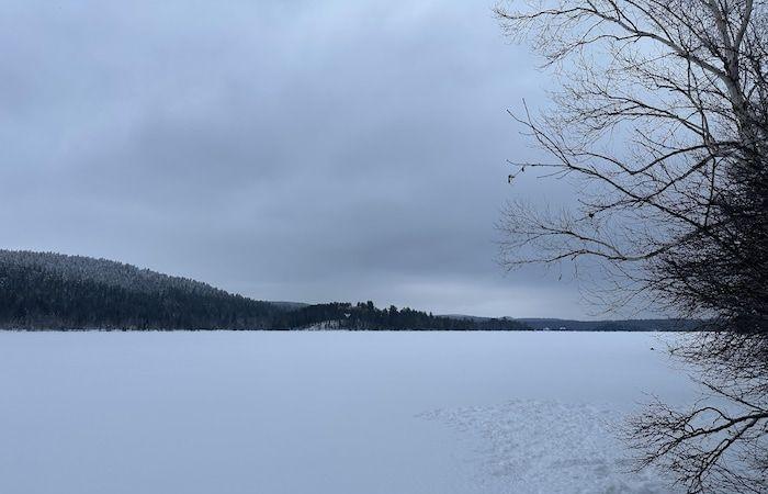 Ein Immobilienprojekt auf einem Seegrundstück löst Empörung aus