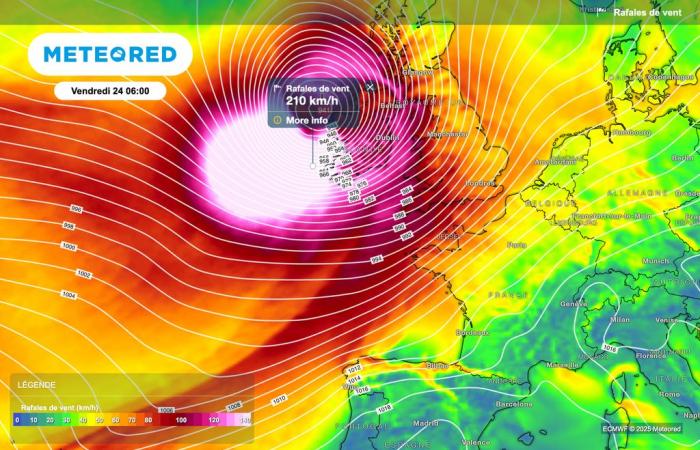 Sturm Éowyn nähert sich Frankreich. Müssen wir heftige Windböen fürchten?