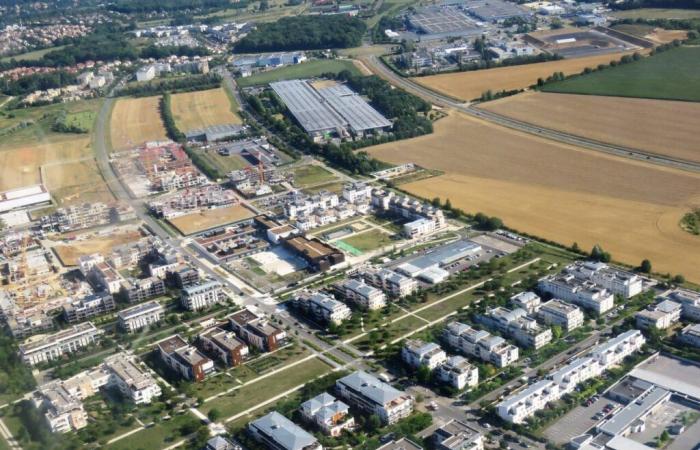 Warum besteht die Gefahr, dass dieser Stadt Seine-et-Marne Millionen von Euro entzogen werden, die ihr hätten zufließen sollen?