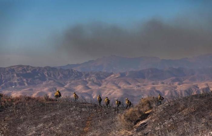 Mehr als 4.000 Feuerwehrleute wurden mobilisiert, 31.000 Menschen evakuiert