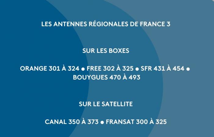 Sportliche Herausforderungen im Februar auf den Regionalkanälen von France Télévisions