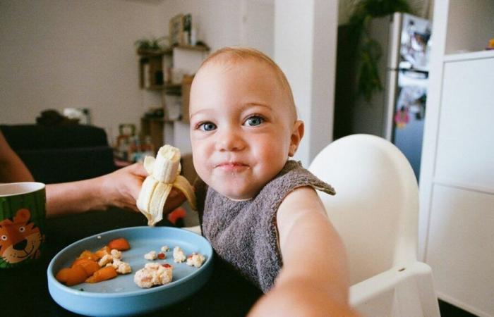 Genießen Sie noch heute 46 % Rabatt auf das Buch „My First Meals“ von BÉABA