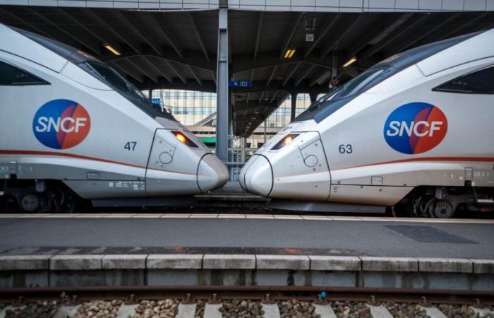 SNCF stellt bereits ermäßigte Tickets vor