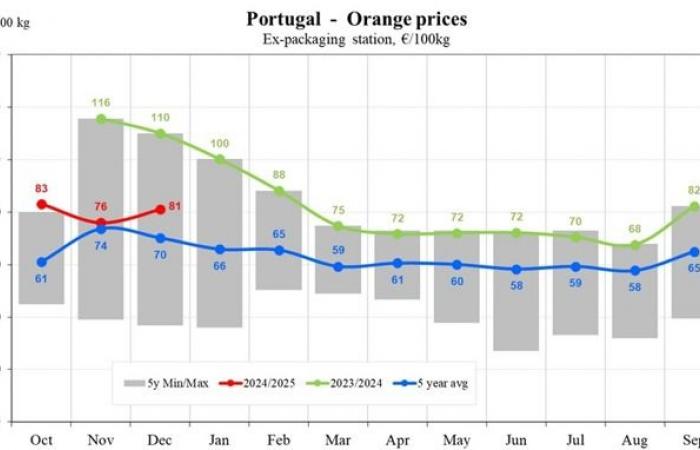 Die Orangenpreise sinken in Südeuropa zur Saison 2024/2025 auf 48 €/100 kg