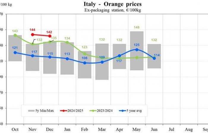 Die Orangenpreise sinken in Südeuropa zur Saison 2024/2025 auf 48 €/100 kg