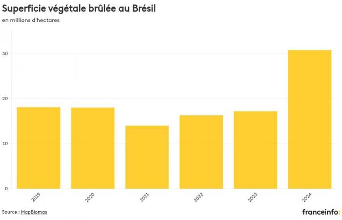 KARTE. Visualisieren Sie den Ausbruch von Vegetationsbränden in Brasilien, einige Monate vor der COP30 im Amazonasgebiet