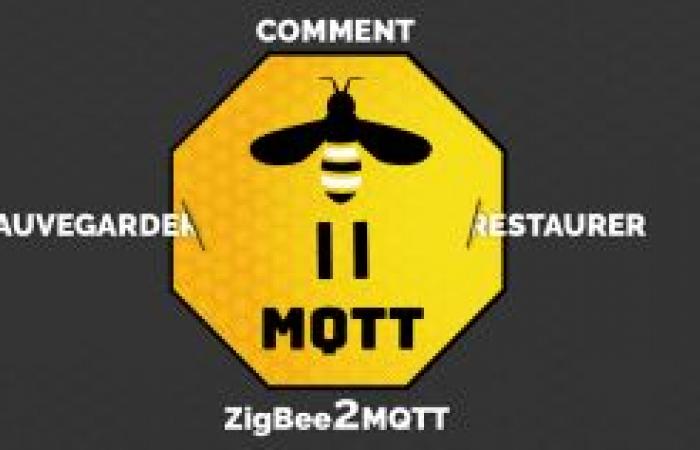 Aktualisierung auf Zigbee2MQTT 2.0.0: Tipps und Warnungen