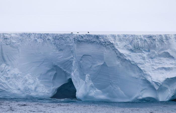 Befürchtungen, dass der größte Eisberg der Welt eine Insel im Südatlantik treffen könnte